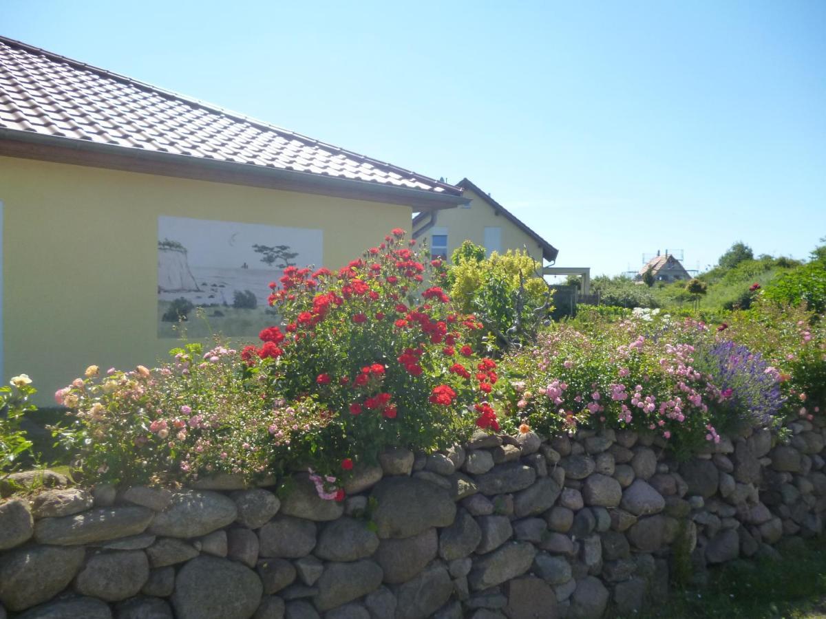 Haus Wildrose Villa Dranske Kültér fotó